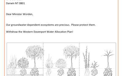 Western Davenport Water Allocation Plan – Colouring Template